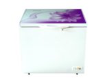 Jamuna 220 LTR Deep Freezer - JE 220l CD Latest model - Image 5